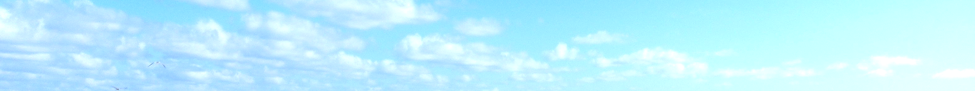 循環器グループの紹介